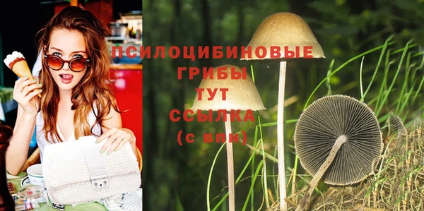 молекула духа Алексеевка