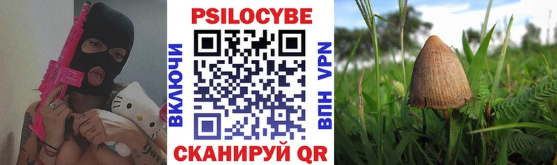 Галлюциногенные грибы GOLDEN TEACHER Козловка